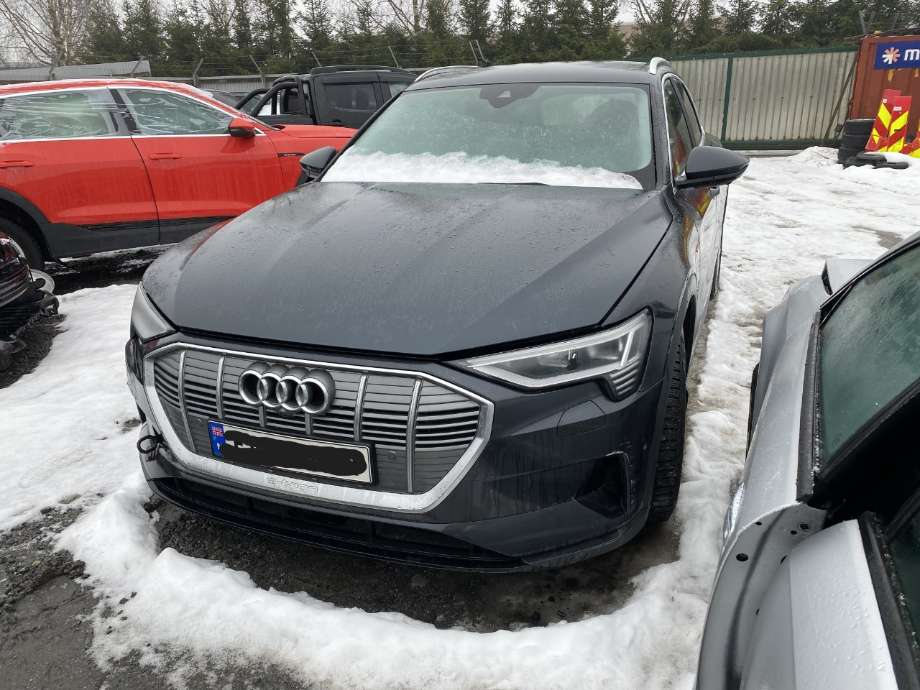 Grill til Audi e-tron, 2018-->> (AUDI|)