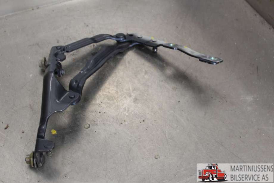 Hengsler til Tesla Model 3 2018-2023 (Fase 1)  (TESLA||1551482-00-D)
