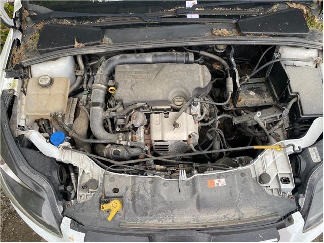 Motor bensin til Ford Focus, 2011-2014 (Type III, Fase 1)  (FORD|)