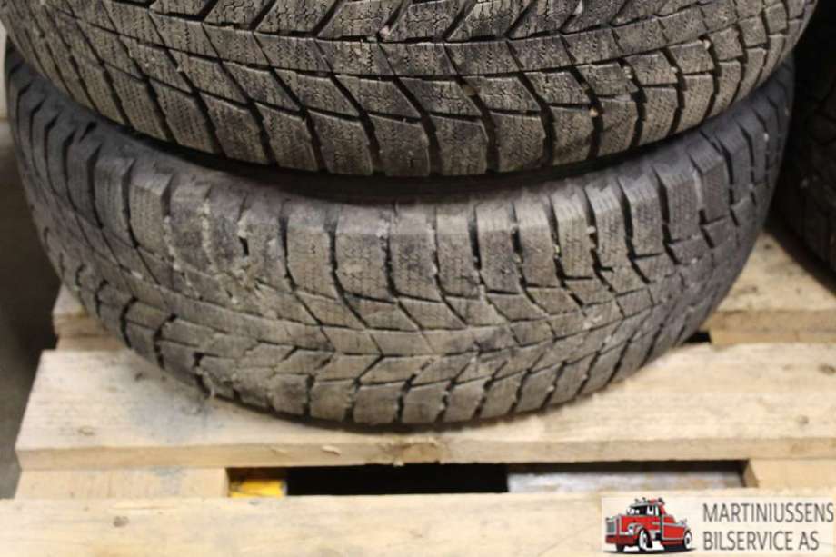 Dekk til Annet Dekk vinter piggfri 0-->>  (SNOWLINK|195/65R15/7MM|TRIANGLE)
