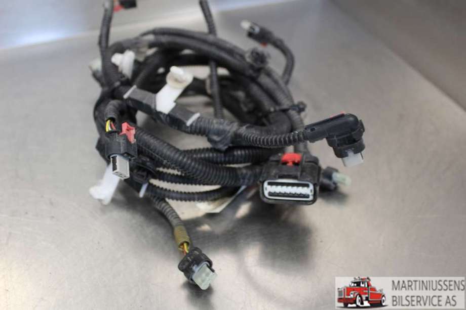 Ledningsnett til Tesla Model 3 2018-2023 (Fase 1)  (TESLA|2067958-00-B 006|)
