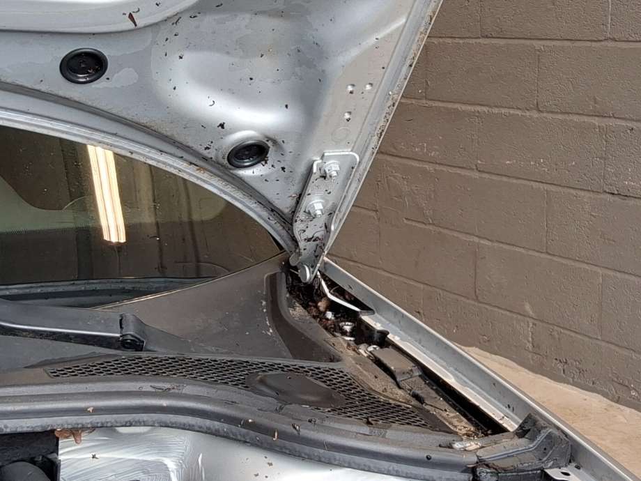 Panserhengsler til Audi A3, 2009-2012 (Type II, Fase 2) (AUDI|)