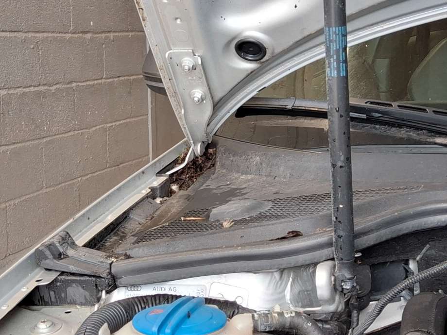 Panserhengsler til Audi A3, 2009-2012 (Type II, Fase 2) (AUDI|)