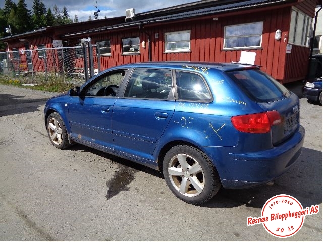 Audi A3 2003-2008 (Type II, Fase 1) , Motorkode: BGU, Girkassekode: FVH