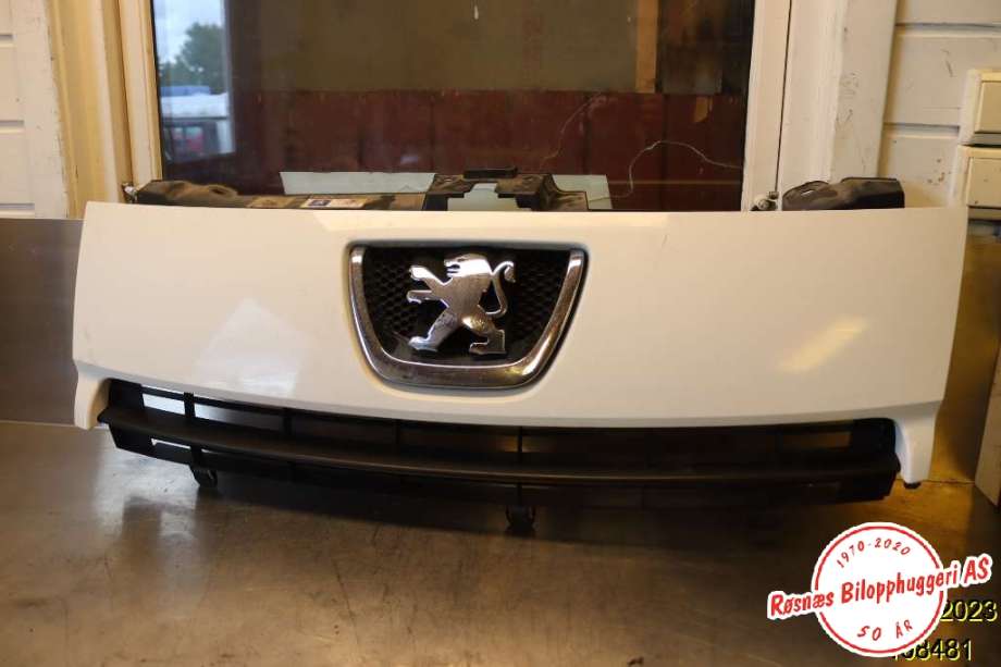 Grill til Peugeot Expert 2007-2016 (Type II) (PEUGEOT|)