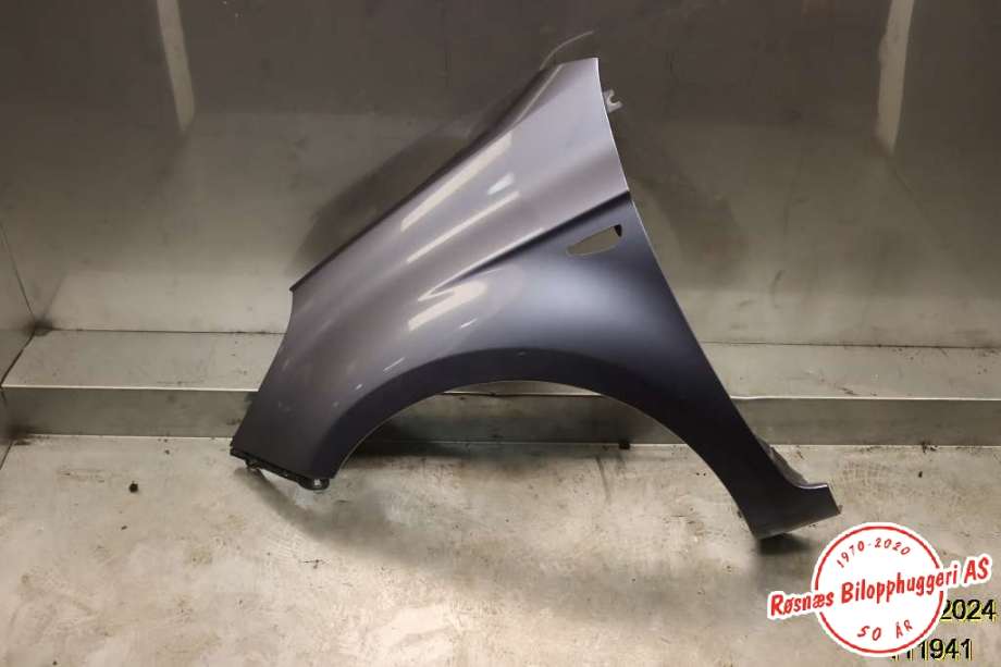 Skjerm venstre foran til Hyundai i20 2009-2014 (Type I) (HYUNDAI|66311 1J000|)
