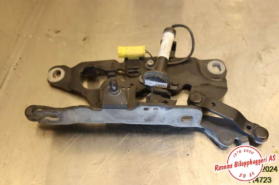 Panserhengsler til BMW 5-Serie 2010-2017 (F10/F11) (F10/F11) (BMW STV.|7 249 887-09|)