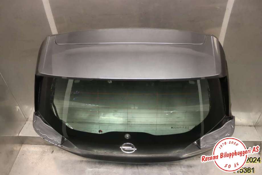 Bakluke combi til Opel Ampera-e 2017-->> (Type II)  (OPEL|42549060|)