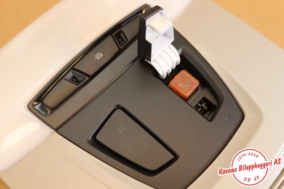 Taklyspanel til BMW i3 2013-2022  (BMW||E3219500)