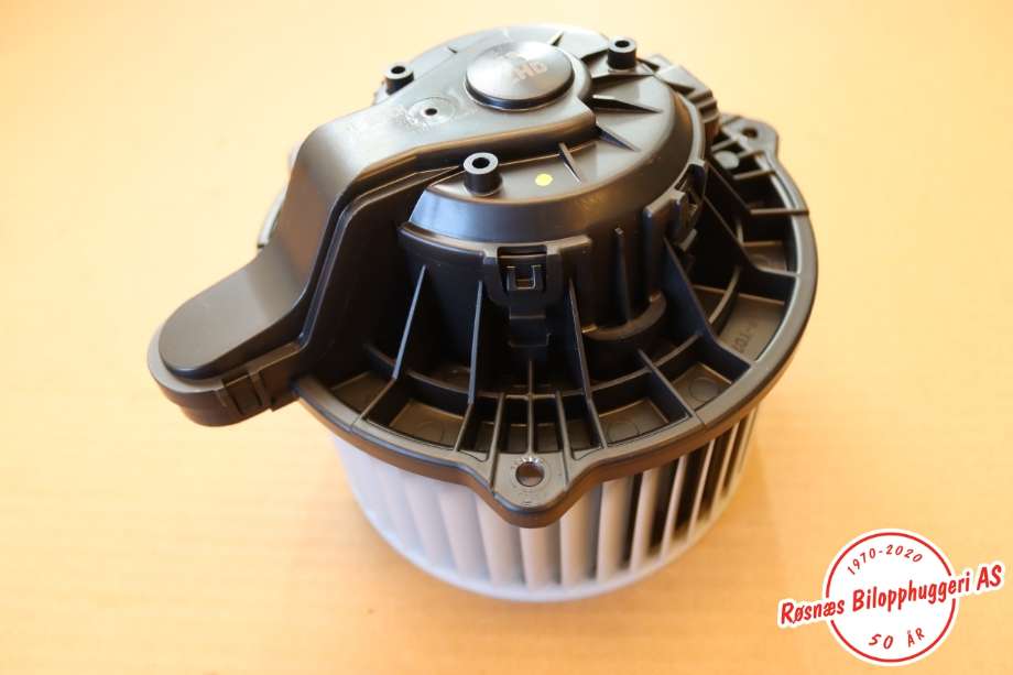 Varmeapparat motor til Tesla Model S 2016-2021 (Fase 2) (TESLA||F00S3B2574)