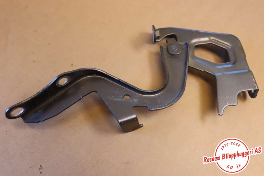 Panserhengsler til Toyota RAV4 2016-2019 (Type IV, Fase 2) (TOYOTA|5341042120|)