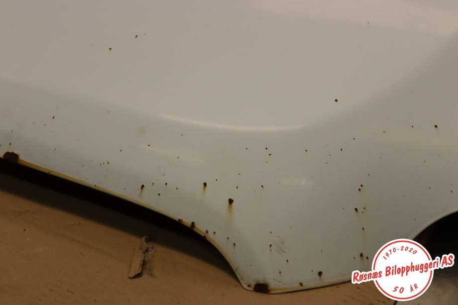 Panser til Ford Transit Custom 2013-2023 (Type I)  (FORD|PBK31-A16612-BA|)