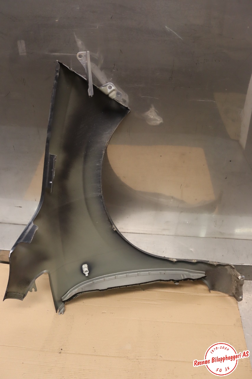 Skjerm venstre foran til Nissan Leaf 2011-2017 (Type I)  (NISSAN|F31013NLMA|)