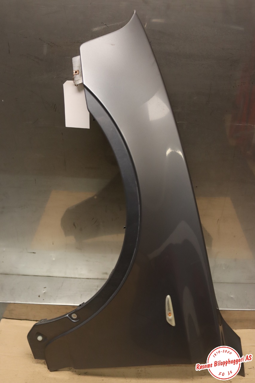 Skjerm venstre foran til BMW X3 2007-2010 (Fase 2) (E83) (E83) (BMW|41353405921|)