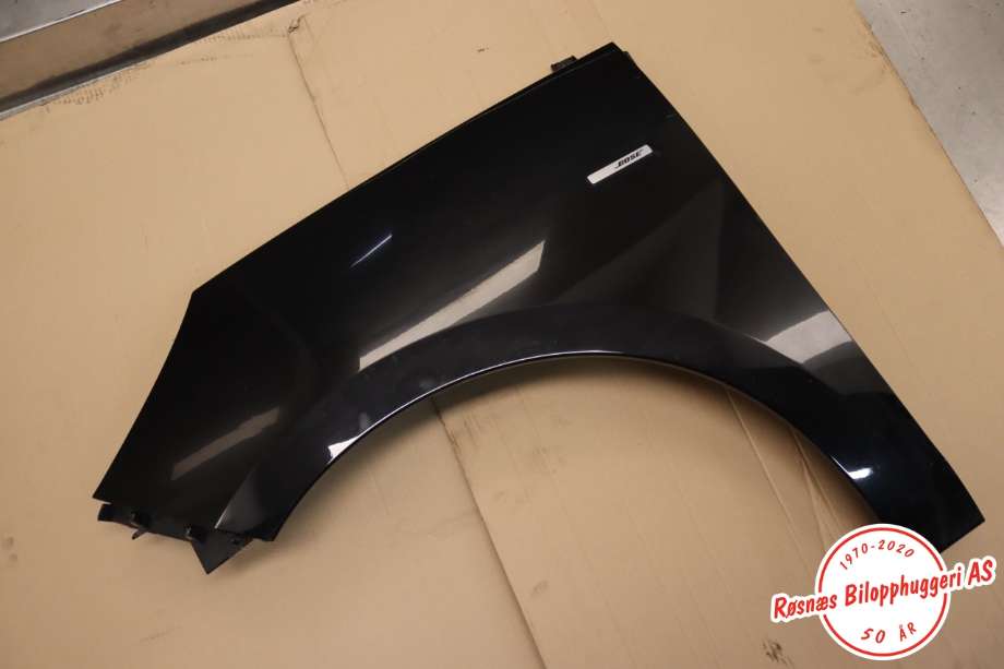 Skjerm venstre foran til Renault Scenic, 2009-2016 (Type III)  (RENAULT|631019689R)