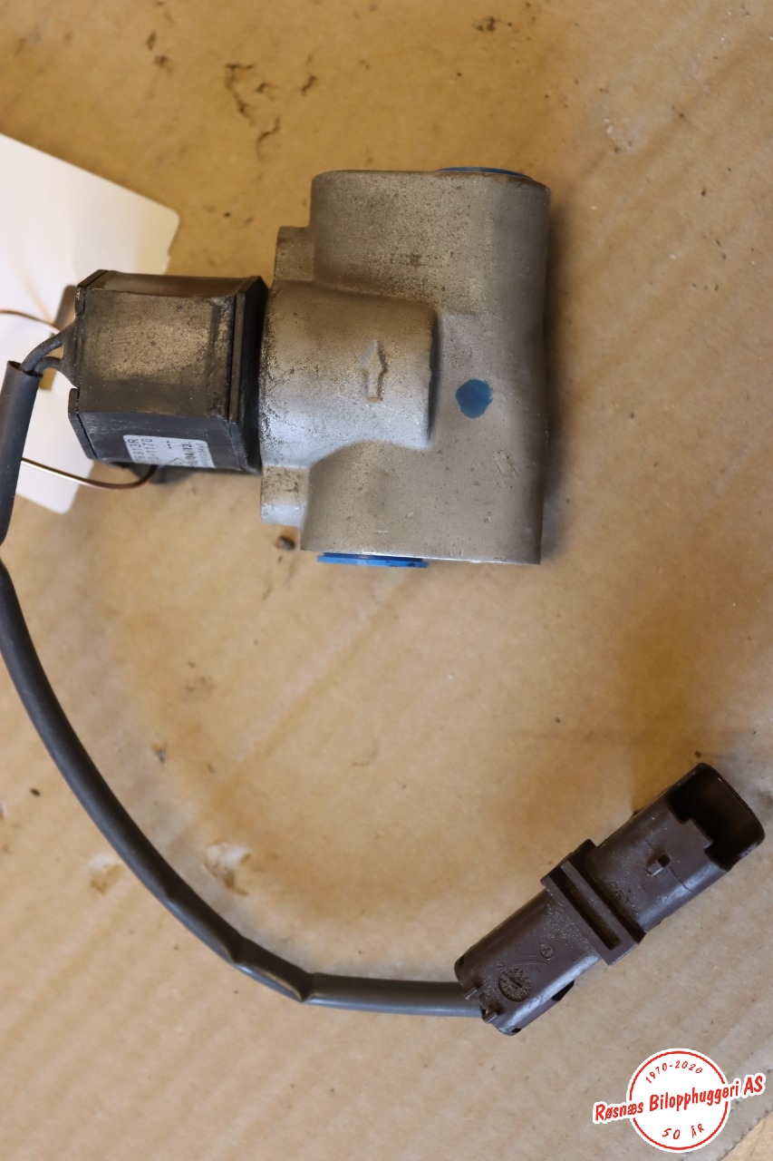 Diverse deler til Renault Zoe, 2013-2019 (Fase 1) (924876913R)