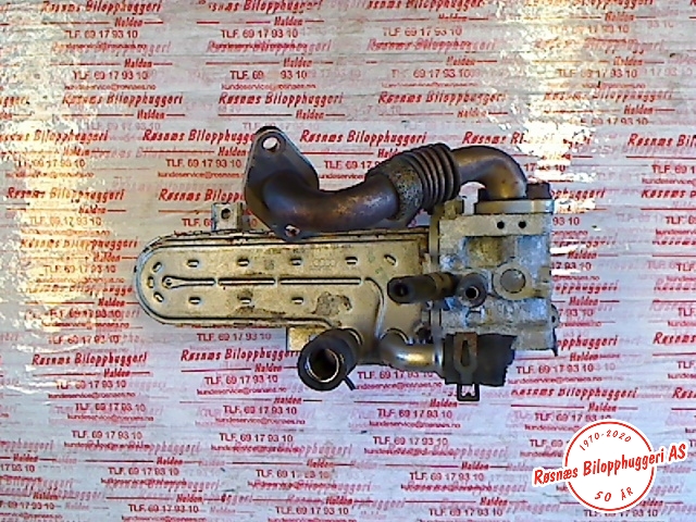 EGR-kjøler til Škoda Octavia 2005-2008 (Type II, Fase 1)  (SKODA|038131513AD|)