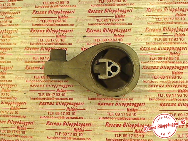Motorfeste til Nissan Qashqai 2010-2014 (Type I, Fase 2) (NISSAN|)