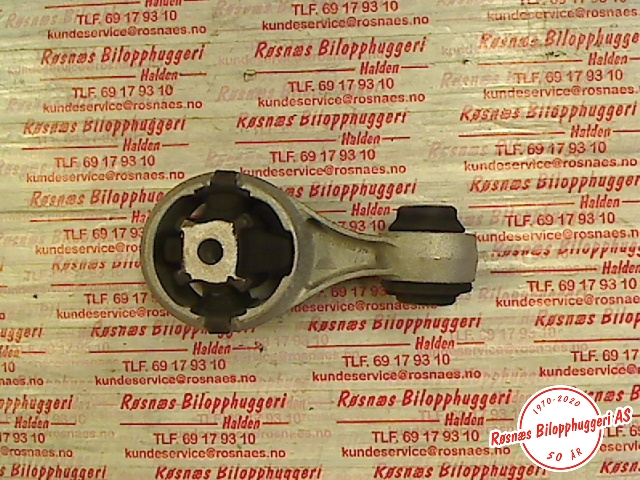 Motorfeste til Nissan Qashqai, 2010-2014 (Type I, Fase 2) (NISSAN|)