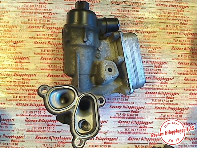 Diverse deler til Nissan Qashqai 2007-2010 (Type I, Fase 1) (NISSAN|)