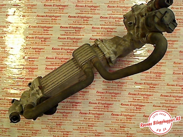 EGR-kjøler til VW Polo 2002-2005 (Type IV, Fase 1)  (VOLKSWAGEN||067116581045|059110189)