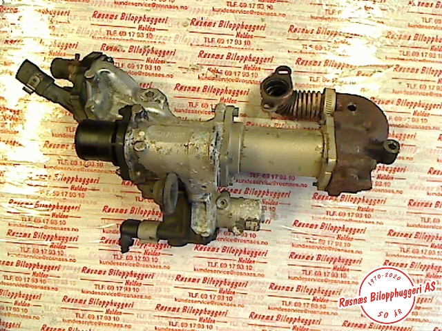 EGR-kjøler til Renault Kangoo 2003-2007 (Type I, Fase 2) (RENAULT||719870808461|7003680600)