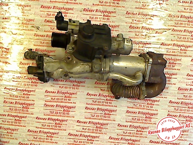 EGR-kjøler til Renault Kangoo 2003-2007 (Type I, Fase 2) (RENAULT||719870808461|7003680600)