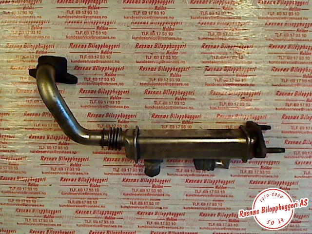 EGR-kjøler til Nissan X-Trail 2002-2007 (T30) (T30) (NISSAN|)