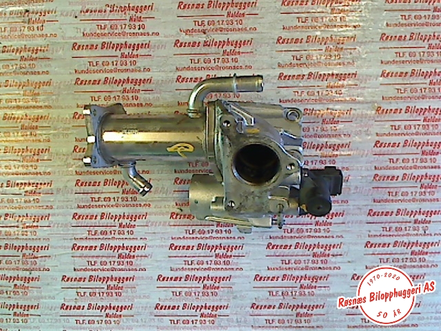 EGR-kjøler til Renault Clio, 2009-2012 (Type III, Fase 2)  (RENAULT|147355713R)
