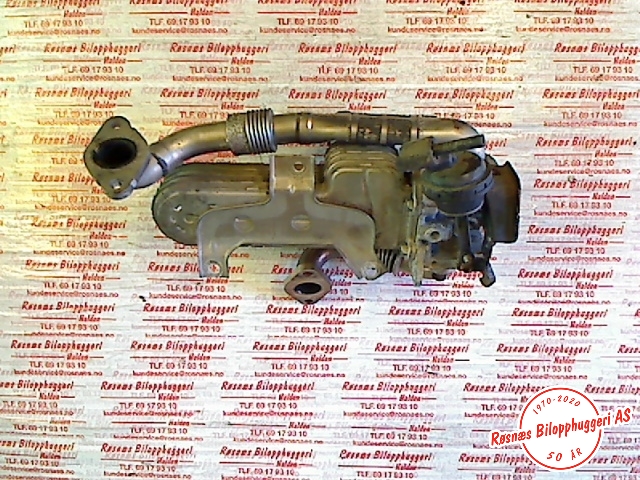 EGR-kjøler til VW Golf V, Combi 2003-2008  (VOLKSWAGEN|038131513AD|)