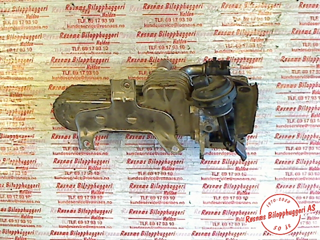 EGR-kjøler til Škoda Octavia 2005-2008 (Type II, Fase 1)  (SKODA|038131513AD|)