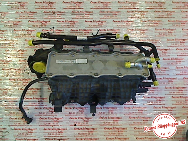 Manifold innsug til VW e-Golf 2014-2017 (Fase 1)  (VOLKSWAGEN|04E145749B|)