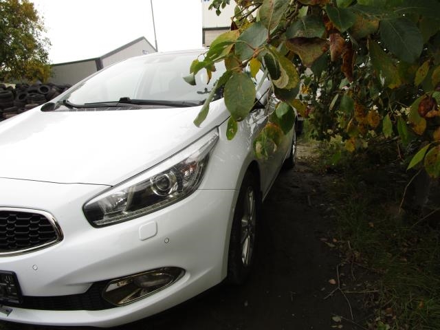 Kia Cee