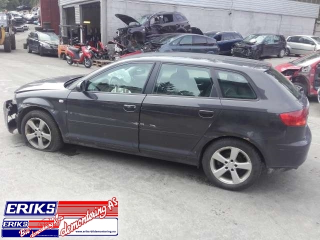 Audi A3 2003-2008 (Type II, Fase 1) , Motorkode: , Girkassekode: 
