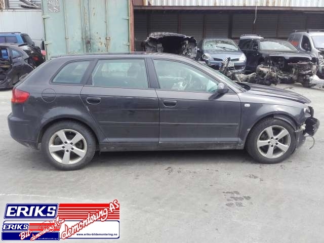 Audi A3 2003-2008 (Type II, Fase 1) , Motorkode: , Girkassekode: 