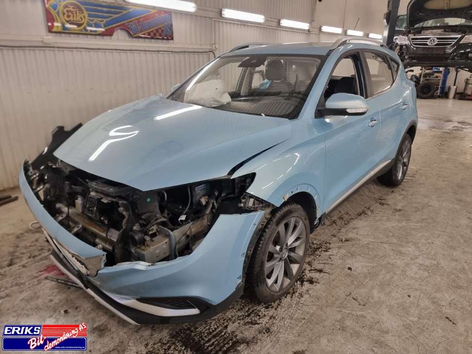 MG ZS EV, 2019-2021 (Type I, Fase 1)  delebil , Motorkode: TZ204XS1481
