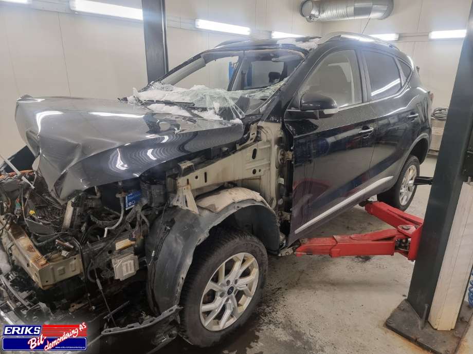 MG ZS EV, 2019-2021 (Type I, Fase 1)  delebil , Motorkode: TZ204XS1481