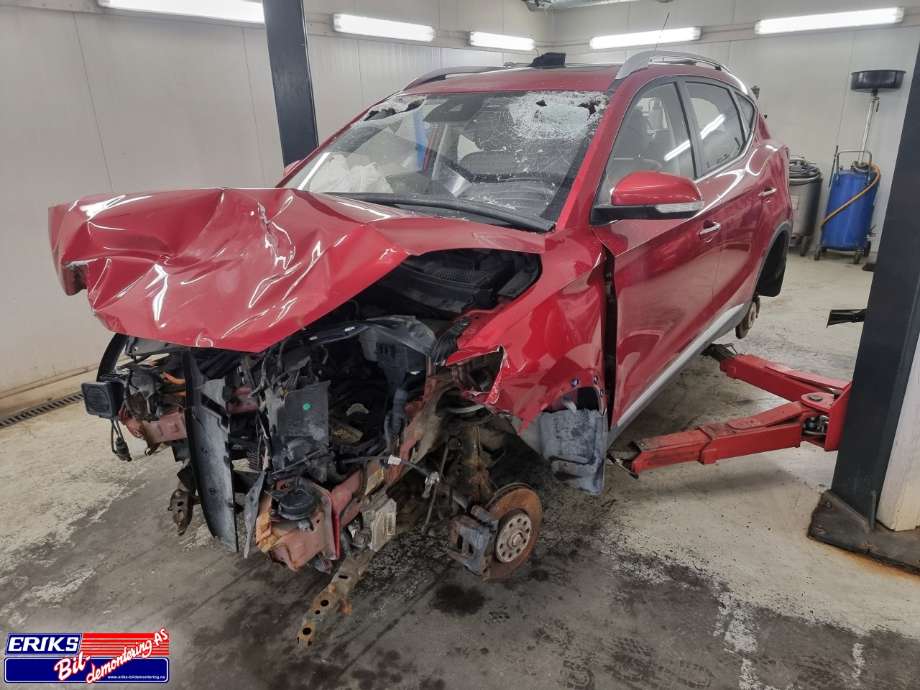MG ZS EV, 2019-2021 (Type I, Fase 1)  delebil , Motorkode: TZ204XS1481