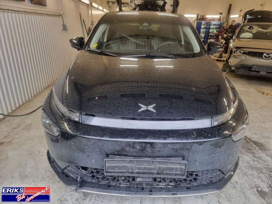 XPeng G3 2021-->> delebil , Motorkode: TZ230XS65A, Girkassekode: