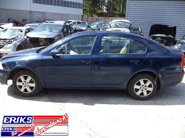 Škoda Octavia 2005-2008 (Type II, Fase 1) , Motorkode: BGU, Girkassekode: