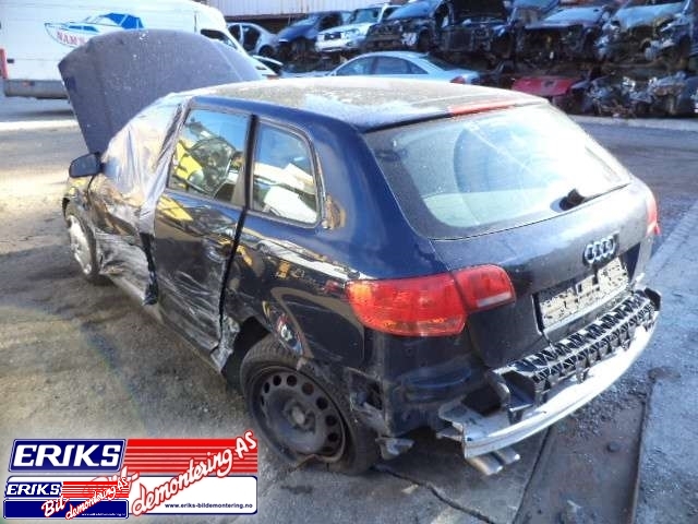 Audi A3 2003-2008 (Type II, Fase 1) , Motorkode: , Girkassekode: 