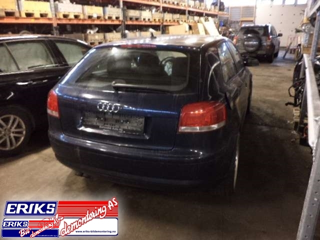 Audi A3 2003-2008 (Type II, Fase 1) , Motorkode: , Girkassekode: 