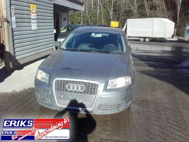 Audi A3 2003-2008 (Type II, Fase 1) , Motorkode: , Girkassekode: 
