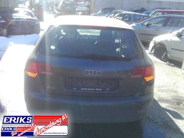 Audi A3 2003-2008 (Type II, Fase 1) , Motorkode: , Girkassekode: 