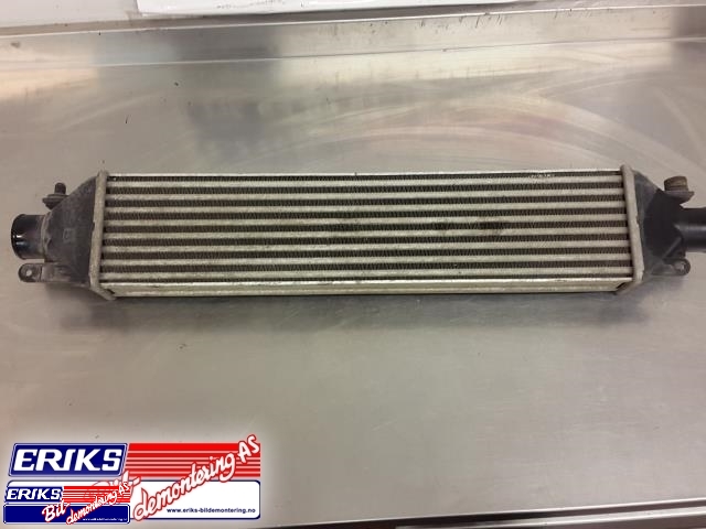 Intercooler til Fiat Bravo/Brava, 2007-2011