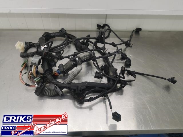Ledningsnett til BMW X5, 2007-2013 (E70) (E70) (851187503)