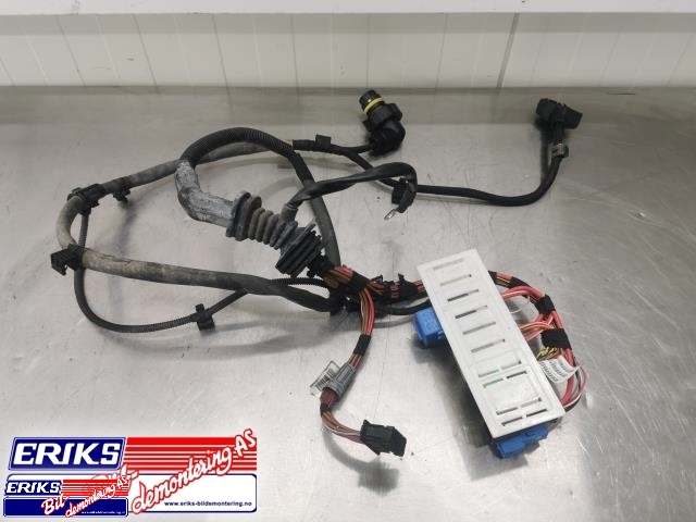 Ledningsnett til BMW X5, 2007-2013 (E70) (E70) (7808271-09)