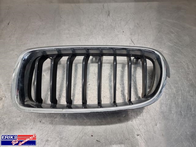 Grill venstre til BMW 3-Serie, 2012-2018 (F30/F31/F34) (F30/F31/F34) 