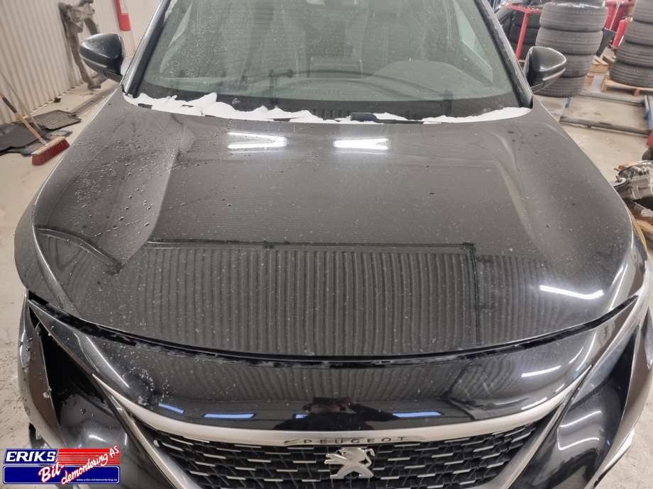 Panser til Peugeot 3008, 2016-->> (Type II)  