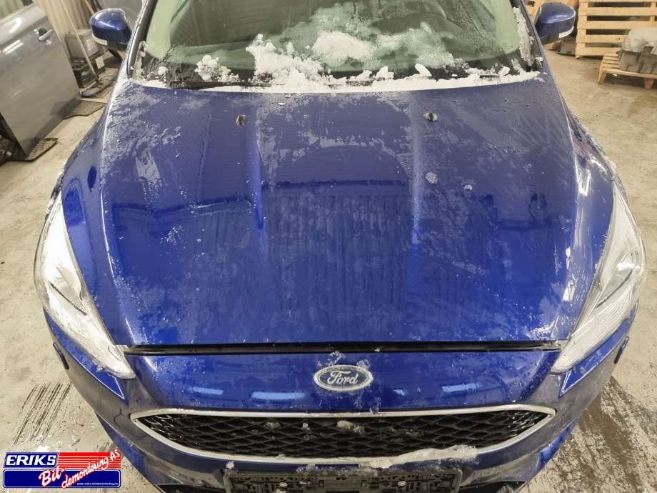 Panser til Ford Focus 2014-2018 (Type III, Fase 2)  (1852919|)